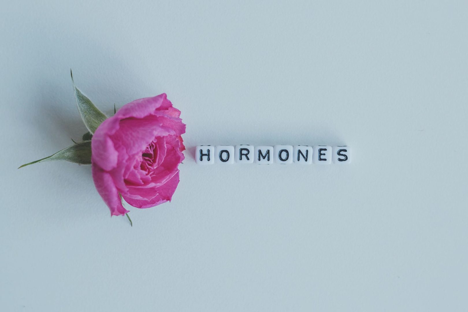 hormonas embarazo saludable