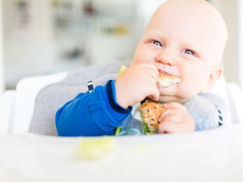 Baby Led Weaning: De la lactancia a la cuchara: consejos sencillos