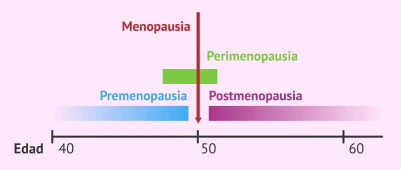 Menopausia: etapas