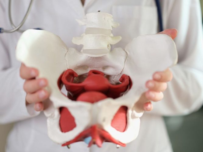 ejercicios kegel postparto por qué son importantes